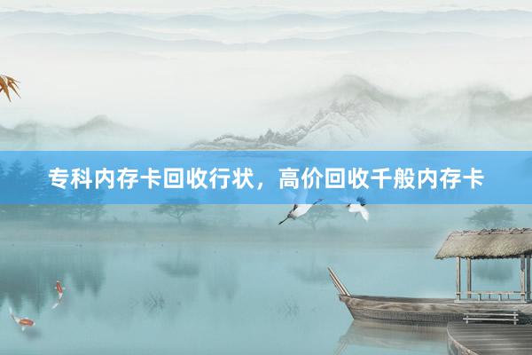 专科内存卡回收行状，高价回收千般内存卡